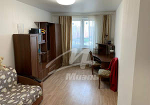 1-к квартира, на длительный срок, 43м2, 11/17 этаж