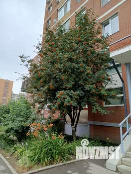 2-к квартира, вторичка, 63м2, 8/18 этаж