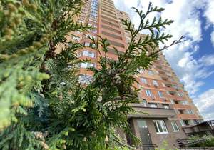 2-к квартира, вторичка, 66м2, 15/17 этаж