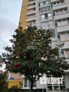 3-к квартира, вторичка, 86м2, 5/17 этаж