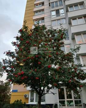 3-к квартира, вторичка, 87м2, 5/17 этаж