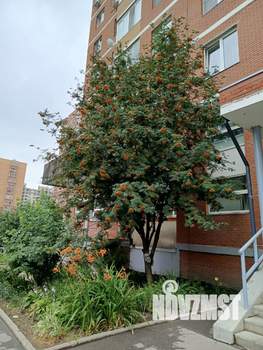 2-к квартира, вторичка, 63м2, 8/18 этаж
