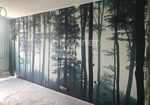 1-к квартира, вторичка, 48м2, 11/17 этаж